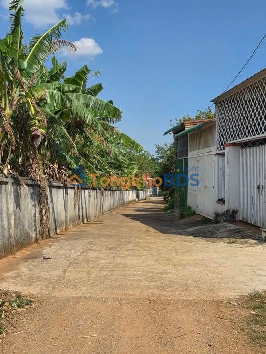 Bán Gấp Nhà Nông Nghiệp Hẻm 51 Võ Thị Sáu, Krông Pắc - 125m² Giá 1.3 Tỷ