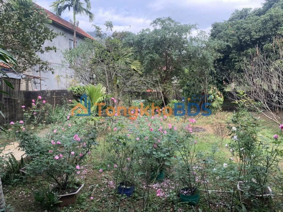 Đất nền Quang Hanh Cẩm Phả 681m² - Sổ đỏ chính chủ