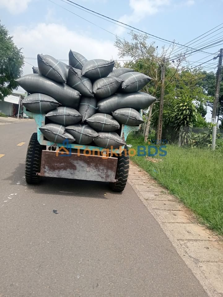 Đất vườn Tân Lạc Di Linh 1.800m²/2.4 tỷ - Sinh thái xanh