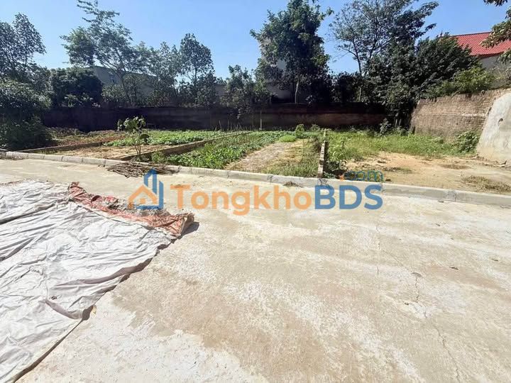 Đất nền Tân Minh Sóc Sơn 85m² giá thỏa thuận – Tiềm năng tăng giá