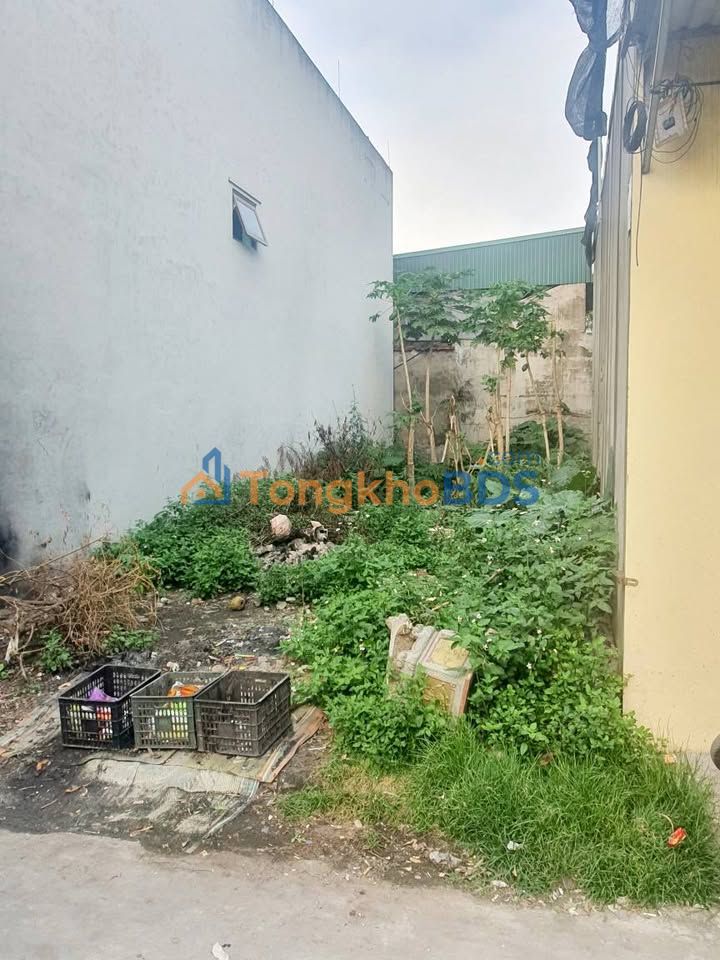 Đất nền Hải Dương Tứ Minh 70m² 2 tỷ - Sổ đỏ chính chủ