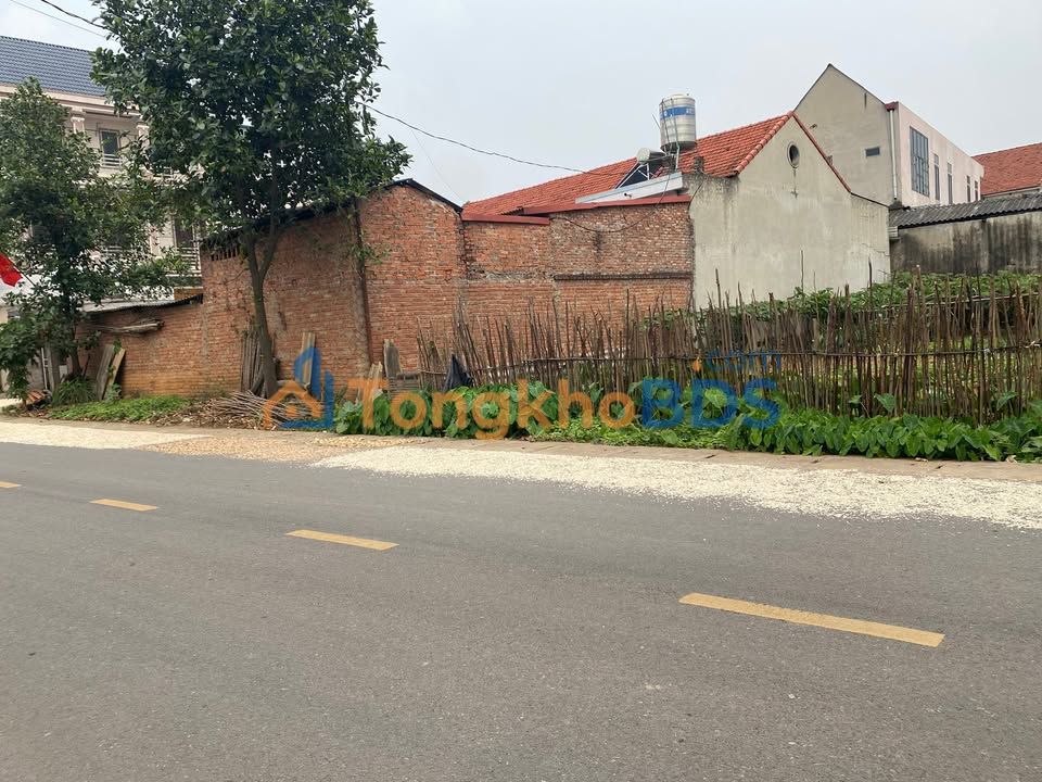 Đất thổ cư Thanh Vân Tam Dương 200m² 3 tỷ - Sổ hồng rõ ràng