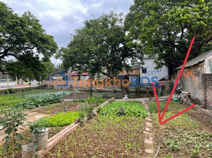 Đất nền Hồng Quang Ân Thi 72m² 1 tỷ - Ô tô vào tận