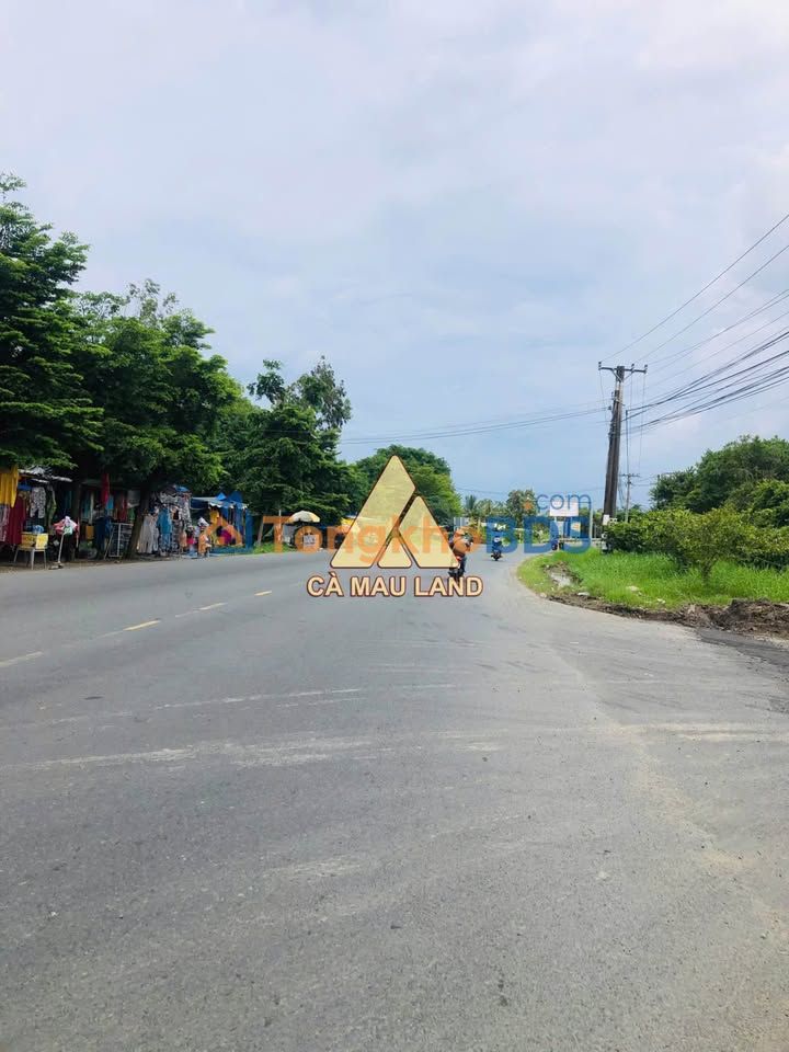 Đất trồng lúa Hồ Thị Kỷ 572m² 900 triệu - Hạ tầng ô tô