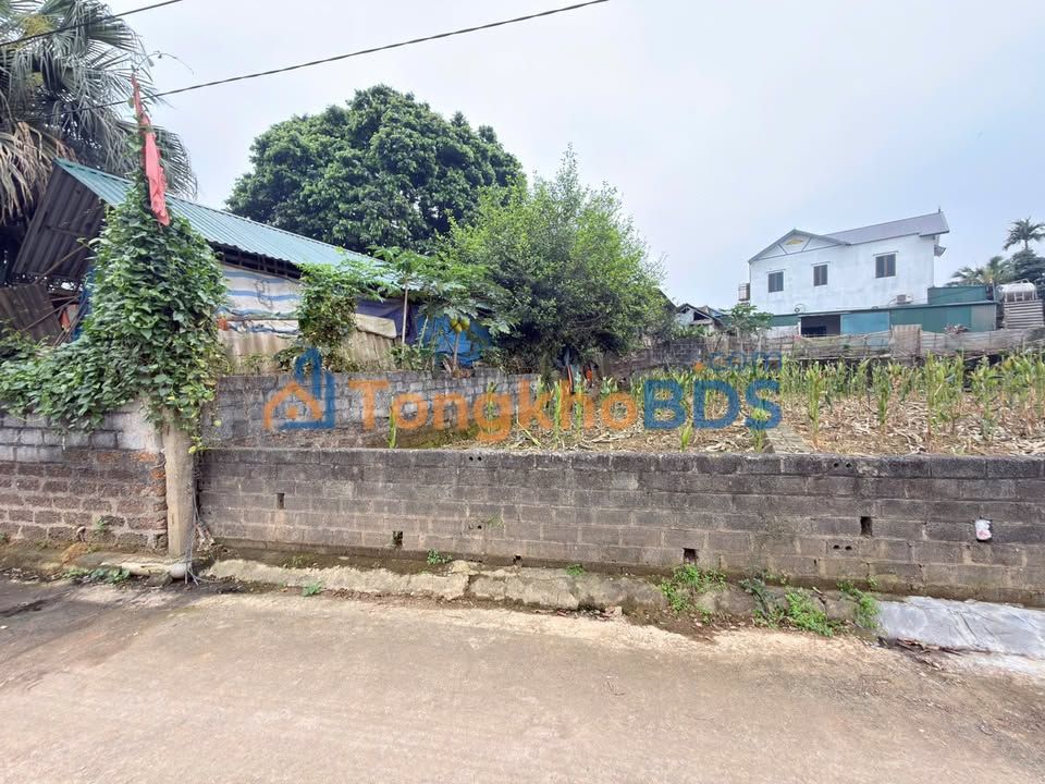 Đất nền Hòa Trúc Phú Cát 81m² 1 tỷ - Sổ đỏ chính chủ