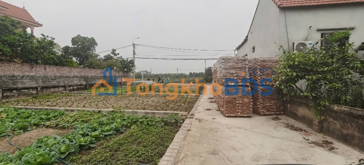 Đất nền Thường Tín Hà Nội 80m² 5.6 tỷ - Giá tốt hiếm có