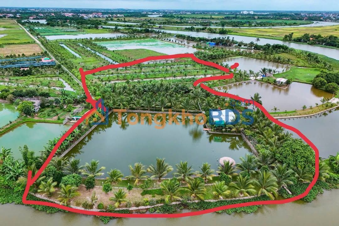 Đất vườn Thuận Thiên, Kiến Thụy 3000m² - Nghỉ dưỡng lý tưởng