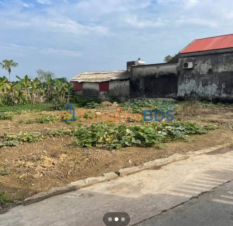 Đất nền Quán Lào, Thanh Hóa 280m² 1.3 tỷ - Sổ đỏ chính chủ