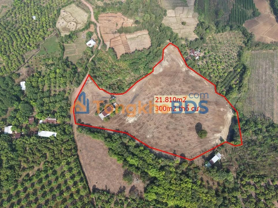 Đất nền Xuân Thọ 21.810m² giá 21.2 tỷ - Sổ đỏ chính chủ