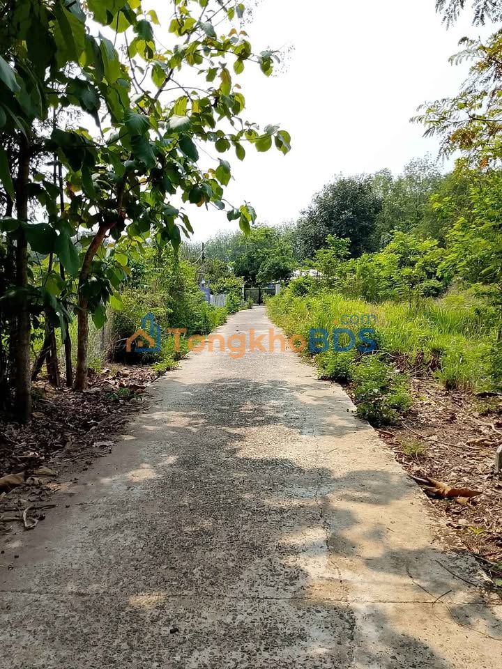 Đất nền Ấp 4 Lộc Thái Lộc Ninh 720m² 900tr - Sổ đỏ chính chủ