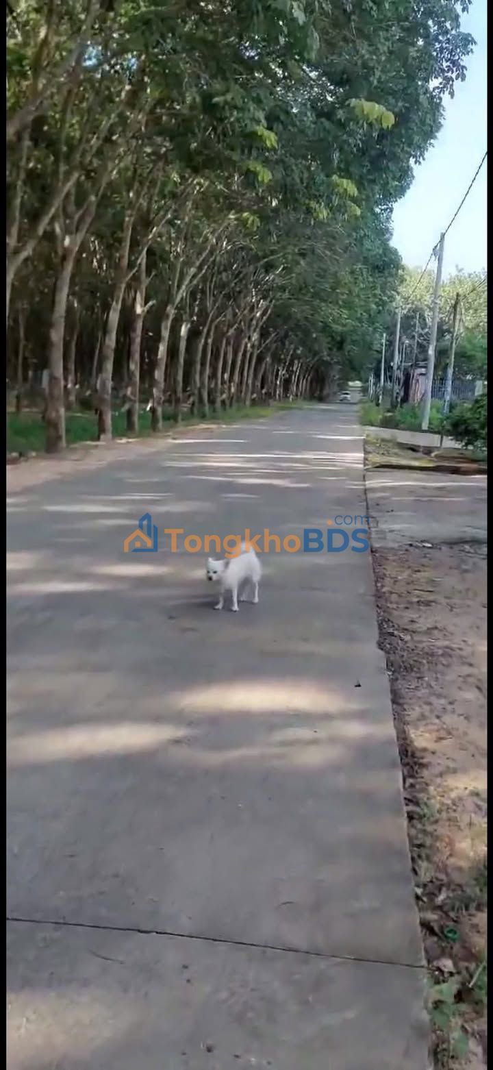 Đất nền Long Đức Long Thành 240m² 1.85 tỷ - Pháp lý rõ ràng