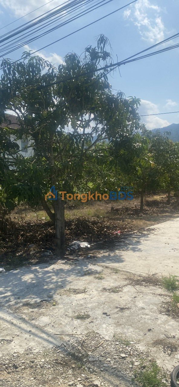 Đất nền Suối Tiên, Diên Khánh 578m² 5,5 tỷ - Sổ đỏ chính chủ