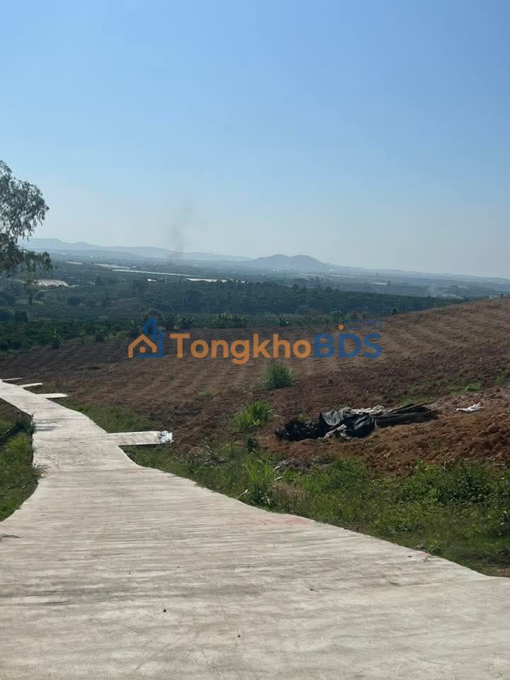 Đất Nền 1000m² Mặt Tiền Đường Bê Tông 13m - Giá Đầu Tư 530 Triệu Tại Lâm Hà