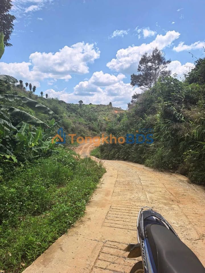 Đất nền B'lao Bảo Lộc 1080m² 1.001 tỷ - Đường ô tô vào