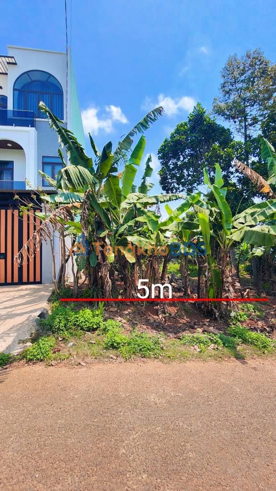 Đất hẻm 196 Lê Thánh Tôn Quy Nhơn 100m² 1.2 tỷ - Sổ đỏ chính chủ