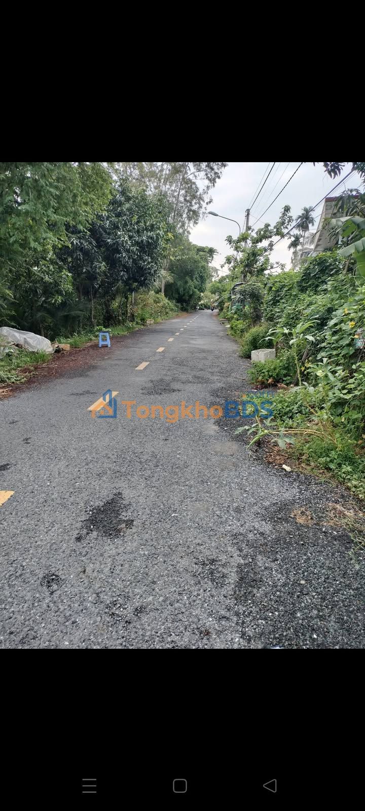 Đất Mỹ Hòa Tháp Mười 585m² 900 triệu - Sổ đỏ chính chủ