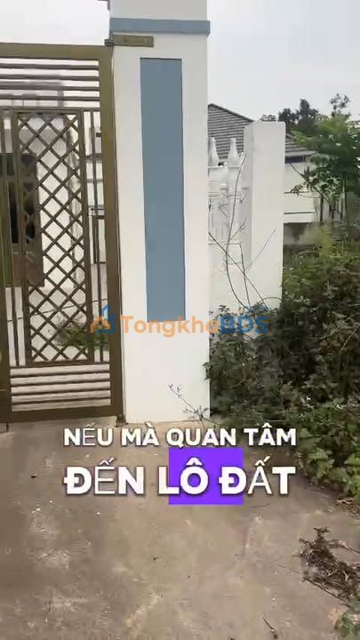 Đất nền Tỉnh lộ 398B Việt Lập 175m² 2 tỷ - Đường ô tô