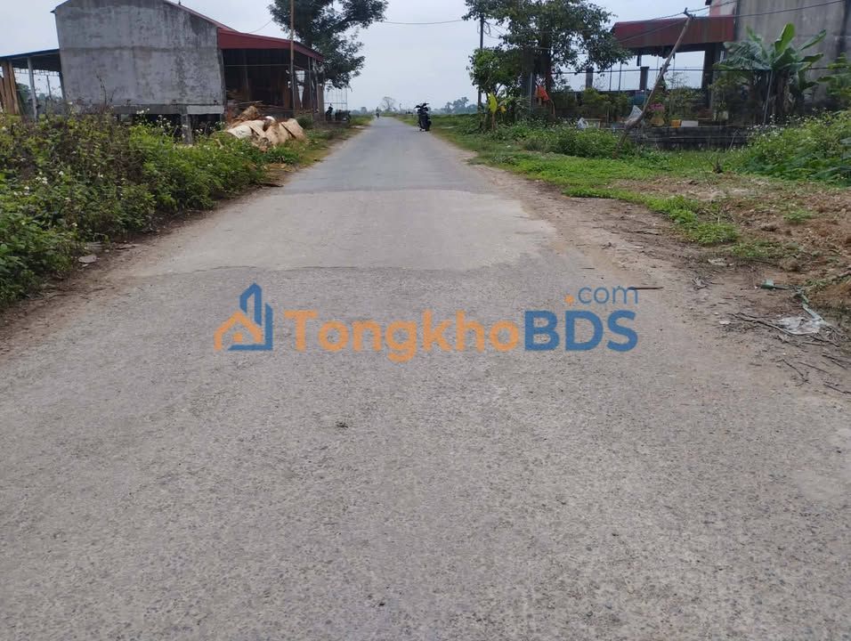 Đất Định Hải Thanh Hóa 128m² - Đường to ô tô