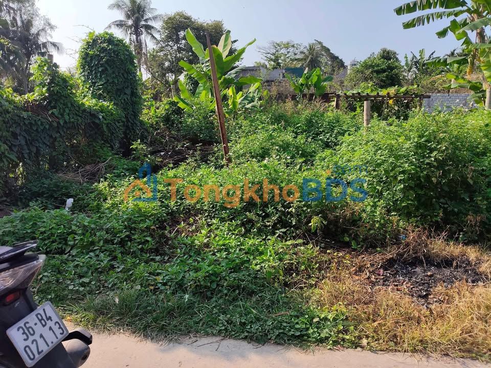 Đất nền Quảng Thọ Sầm Sơn 131m² 1,01 tỷ - Đường ô tô rộng