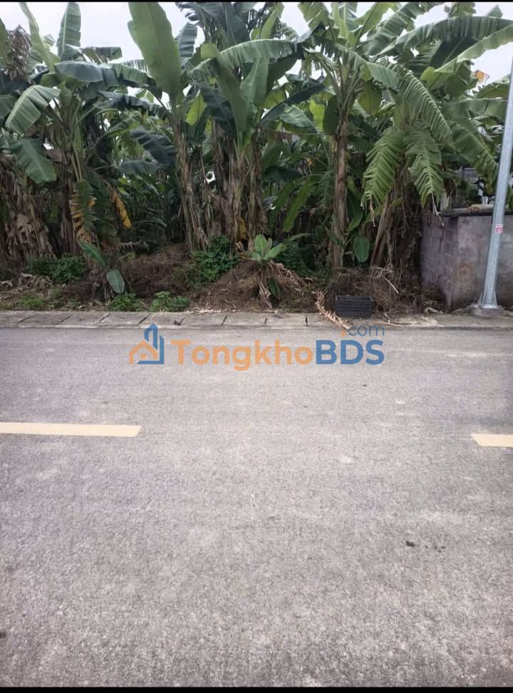 Đất Hạnh Thị An Thọ 67m² giá 1.1 tỷ - Đường ô tô