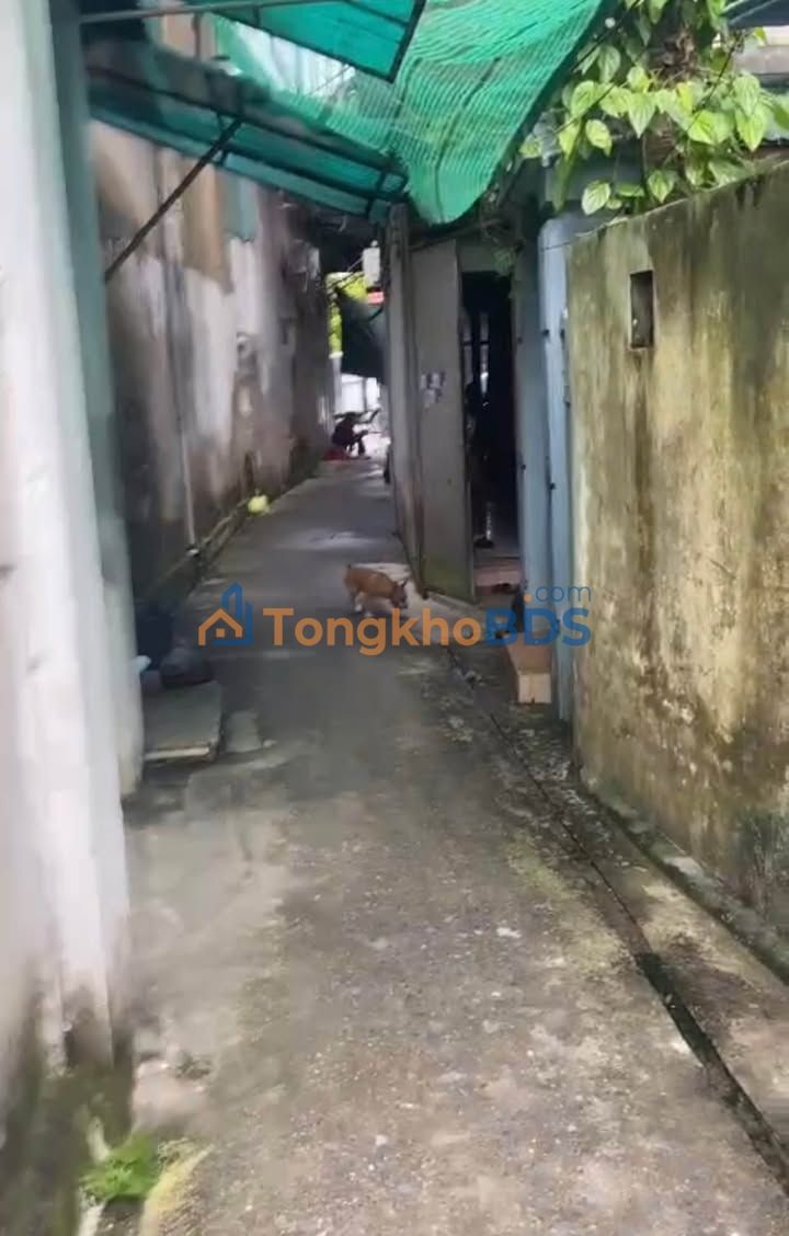 Nhà 43m² Hoàng Diệu, Thái Bình - Giá 5.x Tỷ, Sổ Đỏ Vuông Vắn