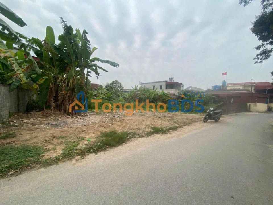 Đất xã Dương Phúc Thái Thụy 224m² 8 tỷ - Sổ đỏ chính chủ