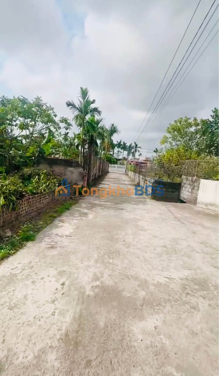 Đất Tân Bình Thái Bình 100m² 600-699 triệu - Sổ đỏ chính chủ