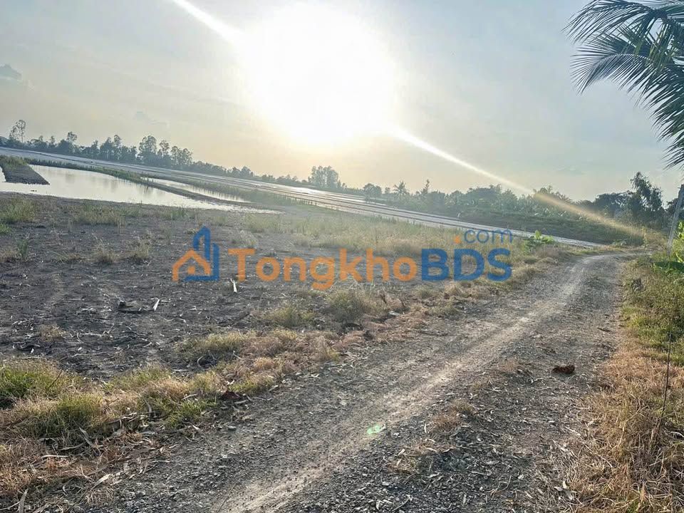 Đất vườn Bình Đức An Giang 1.124m² 600-699tr - Đầu tư dài hạn