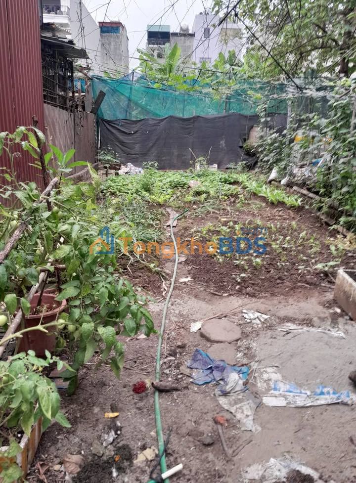 Đất nền Việt Hưng Long Biên 50m² 5 tỷ - Đường to ô tô