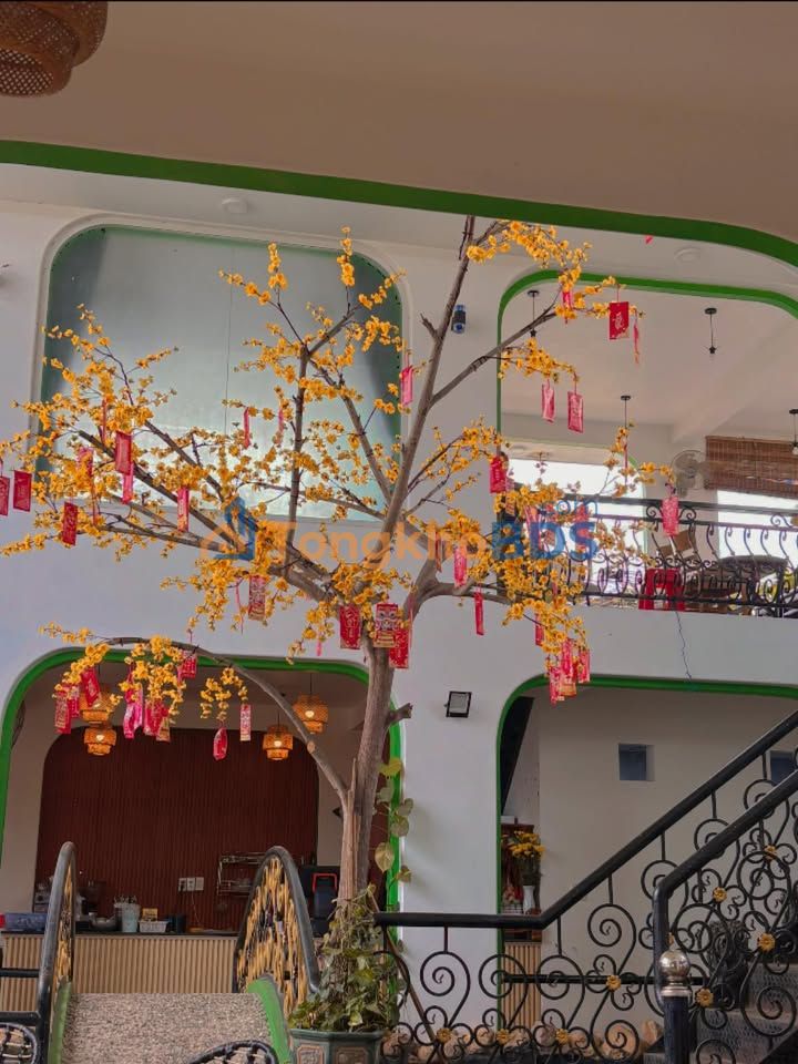 Nhà mặt tiền Trần Phú Quy Nhơn 74m² 6.1 tỷ - Chính chủ bán