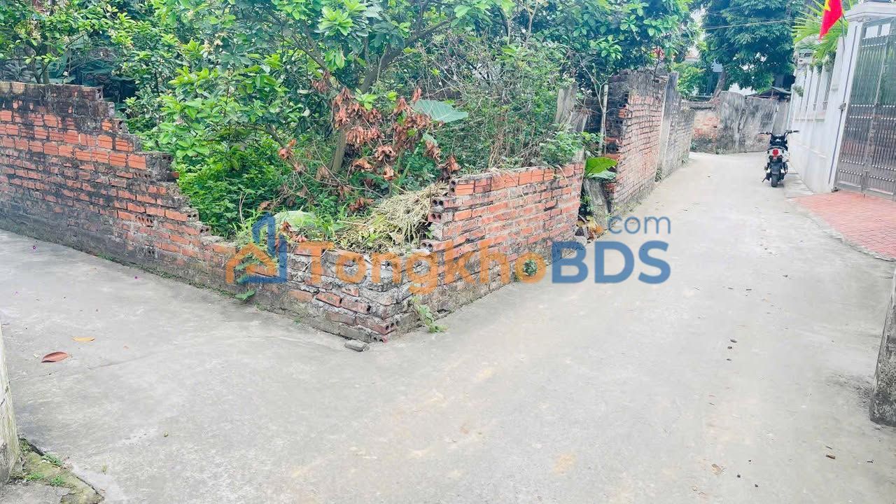 Đất nền Tam Hưng Thanh Oai 48m2 4 tỷ - Sổ đỏ chính chủ