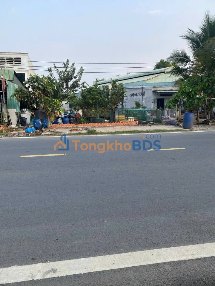 Đất Mai Bá Hương Bình Chánh 1000m² 18 tỷ - Sổ đỏ