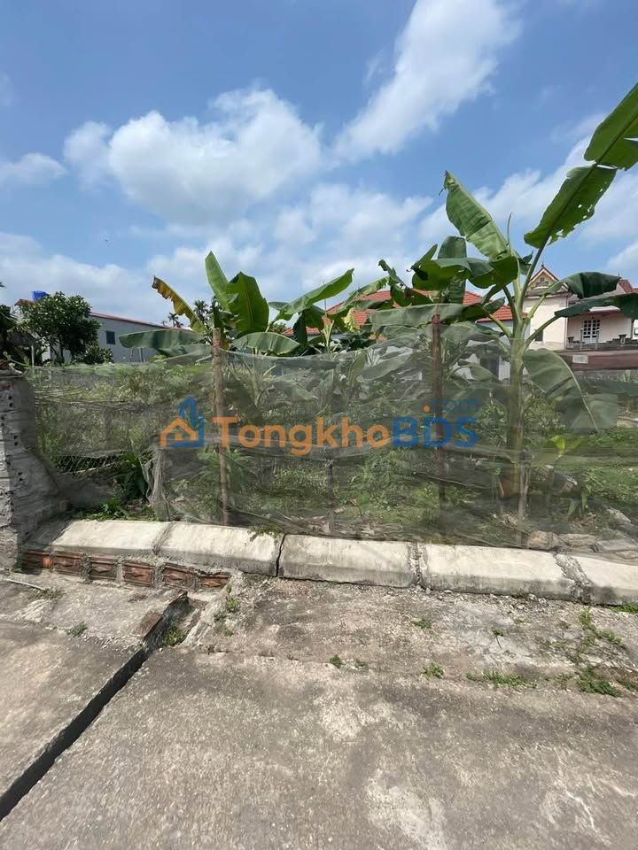 Đất nền Tuy Lai Mỹ Đức 88m² - Tiềm năng tăng giá