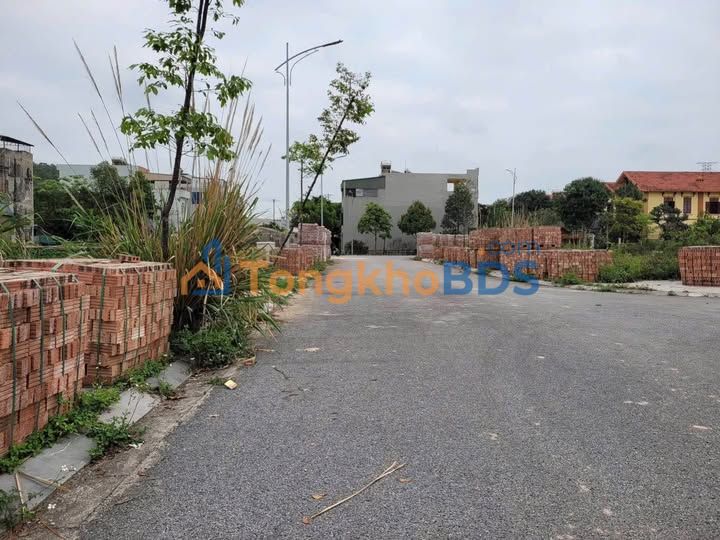 Đất nền Rừng Thông 100m² giá 2.3 tỷ - Đường to ô tô