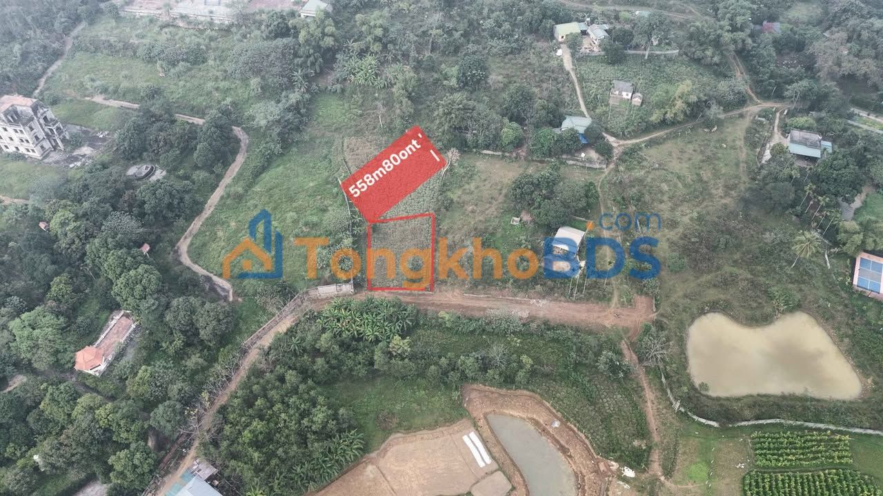 Đất nền Hòa Sơn 558m² giá 3 tỷ - Tiềm năng tăng giá