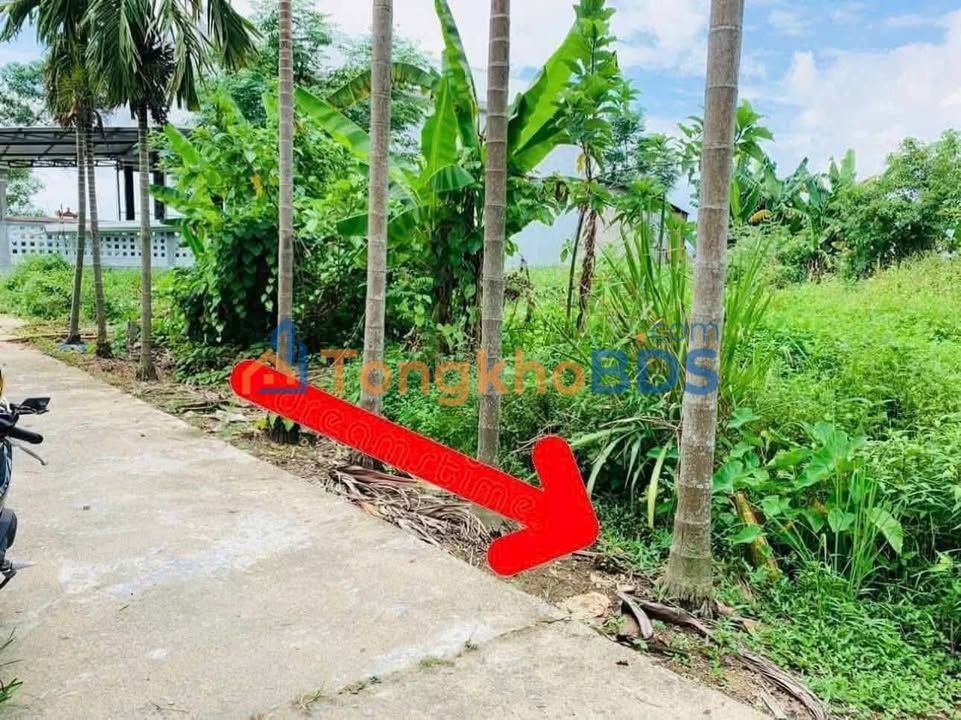 Đất nền Quảng Phú Quảng Điền 110m² giá 2xx triệu - Pháp lý rõ ràng