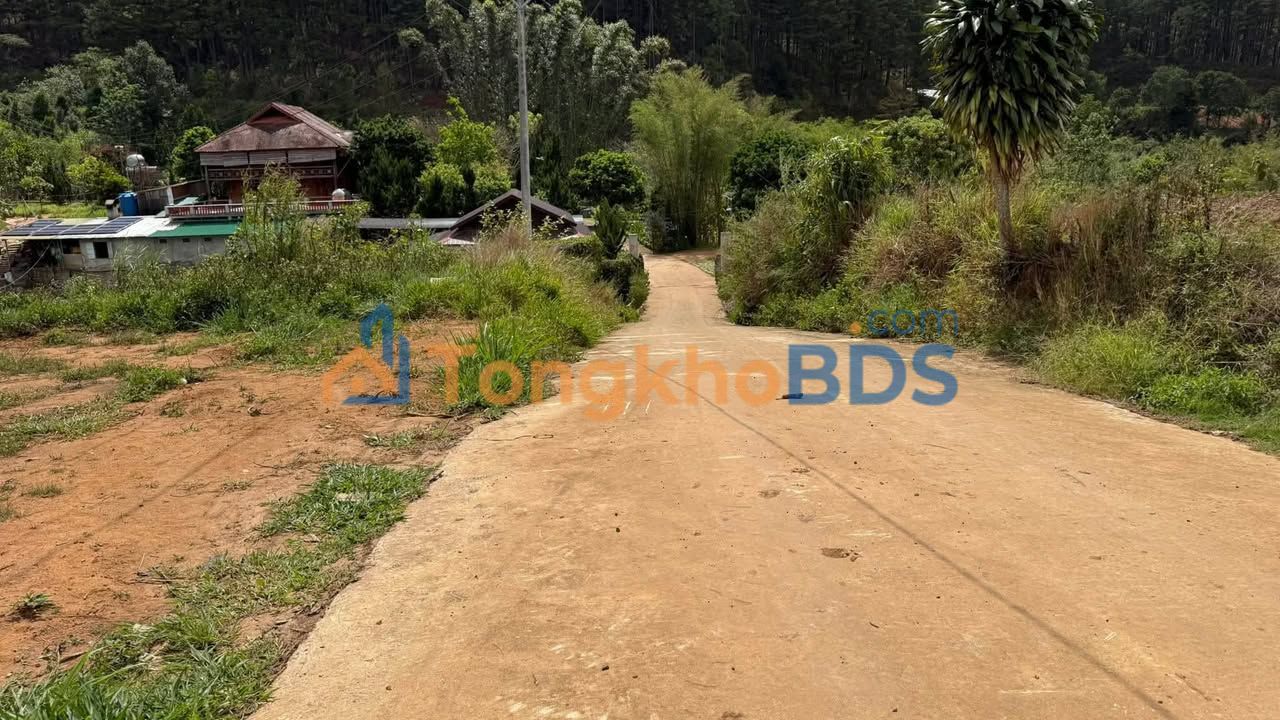 Đất Tà Nung Đà Lạt 1000m² 3.5 tỷ - Đầu tư dài hạn
