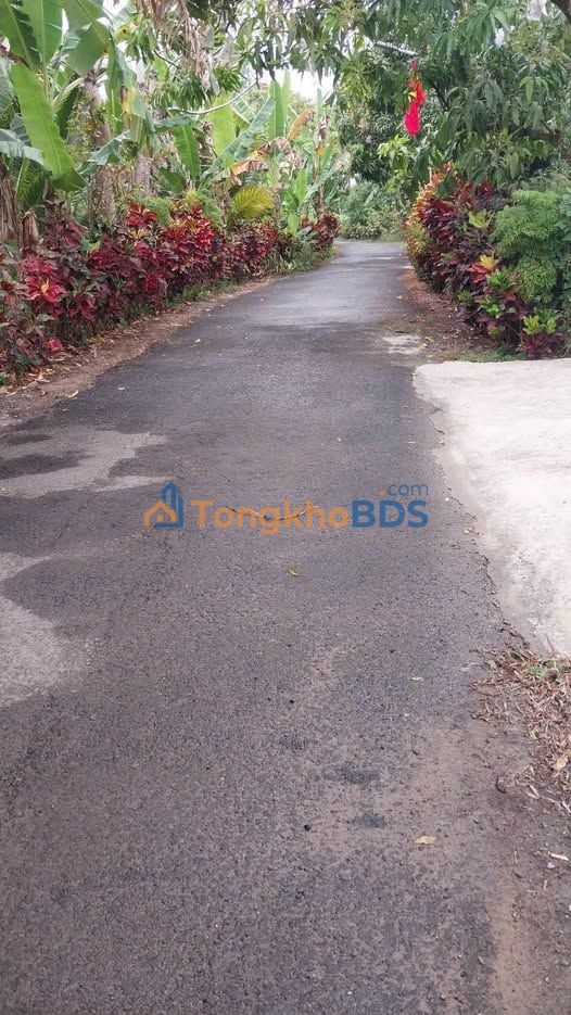 Đất nền Võ Nguyên Giáp Cao Lãnh 200m² 1 tỷ - Sổ đỏ chính chủ