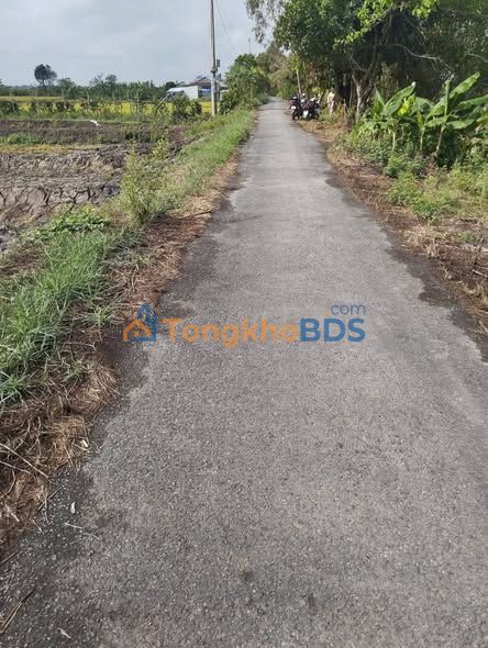 Đất nền Cao Lãnh 780m² 450 triệu - Đường ô tô vào tận nơi