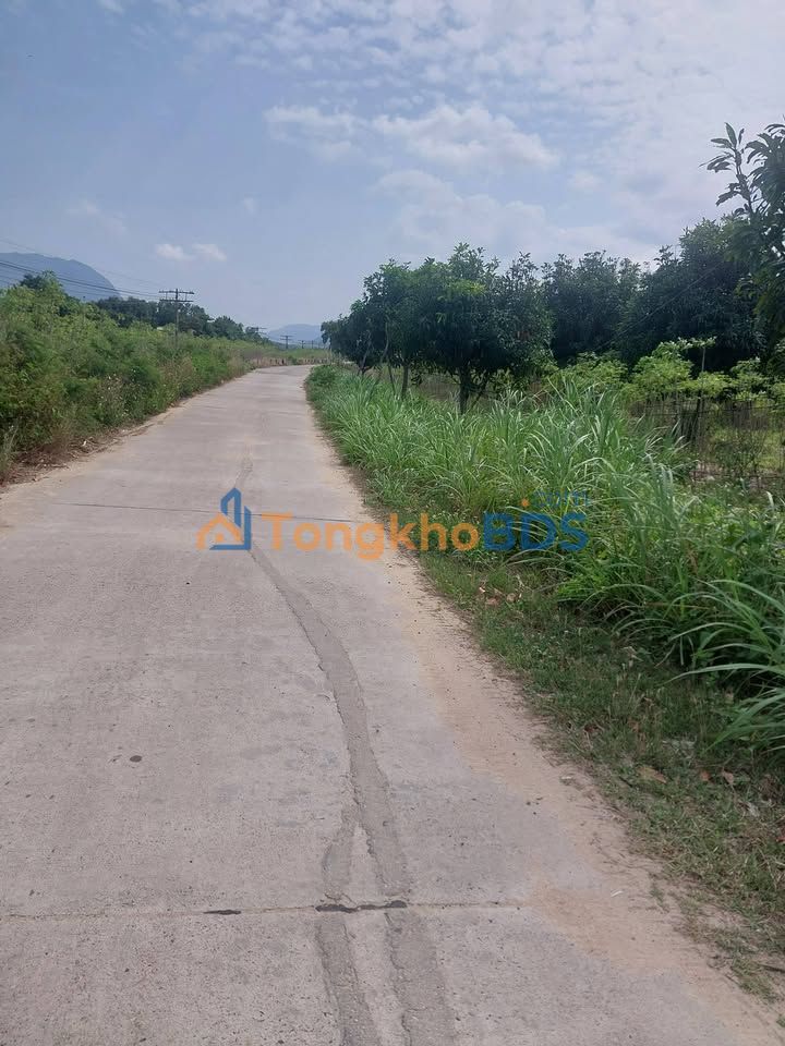 Đất vườn Thôn Quảng Đức Cam Hiệp Nam 10.000m² 4,5 tỷ - Sinh thái xanh