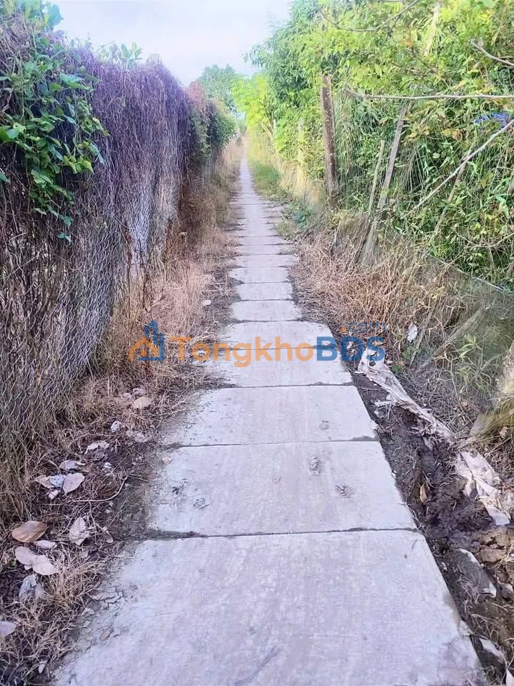 Đất vườn Mỹ Đức 24 công 2xx triệu/1.000m² - Nghỉ dưỡng lý tưởng