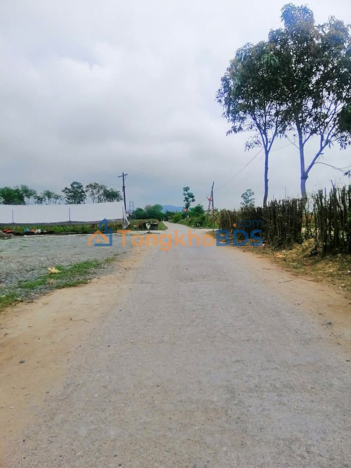 Đất nền Phổ Môn Anh Sơn 131m² 2 tỷ - Sổ đỏ chính chủ