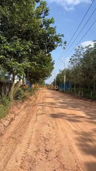 Đất nền Long Nguyên Bàu Bàng 40.5k m²/44 tỷ - Đầu tư dài hạn