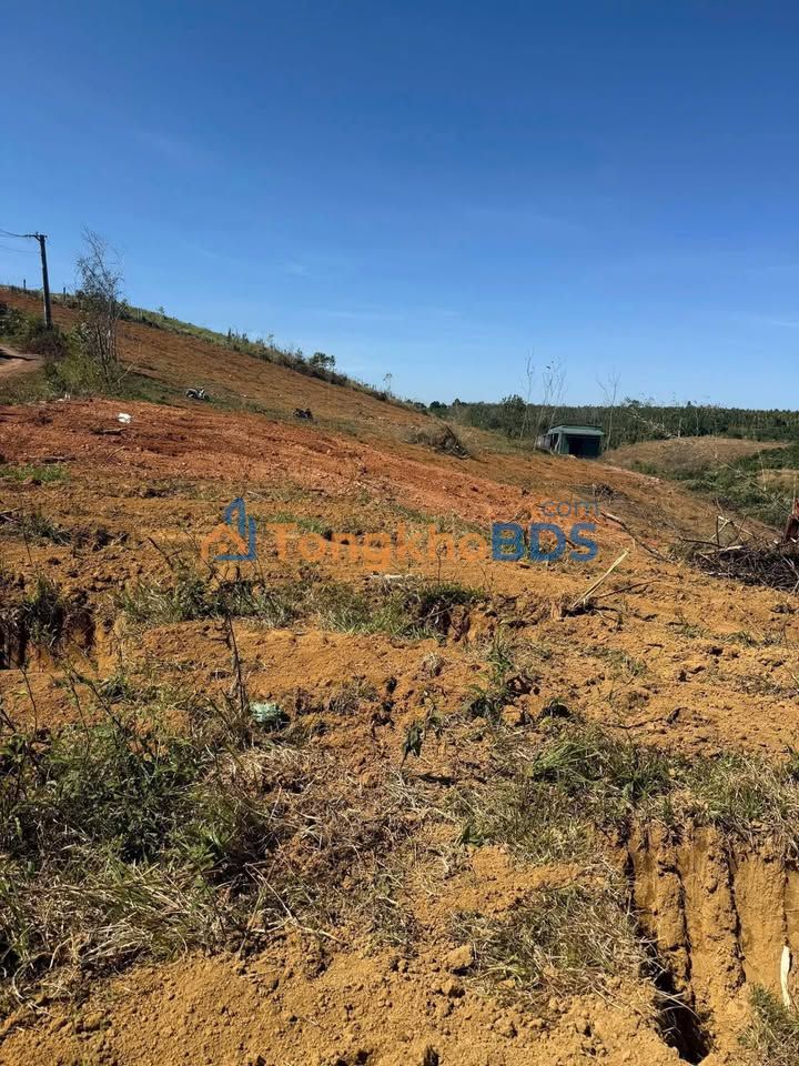 Đất nền Đắk Ha, Đắk Glong 14.000m² 1,65 tỷ - Pháp lý rõ ràng