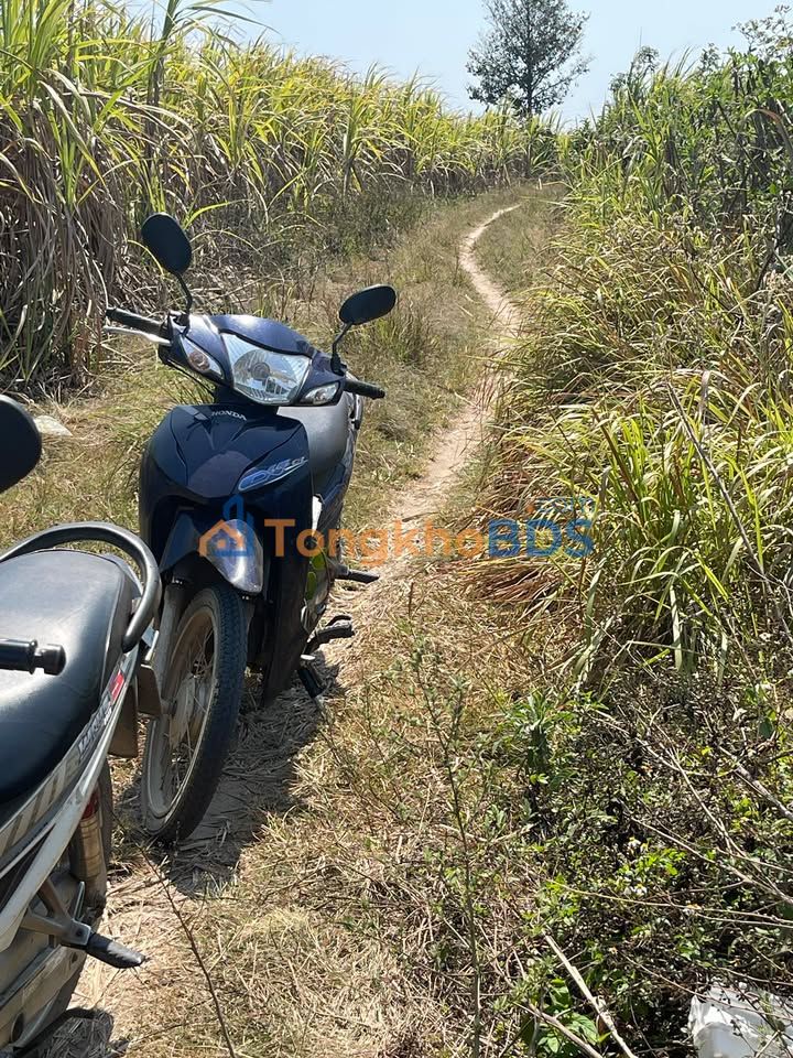 Đất nền Ea Hồ Krông Năng 1,5ha hơn 1 tỷ - Đường to ô tô