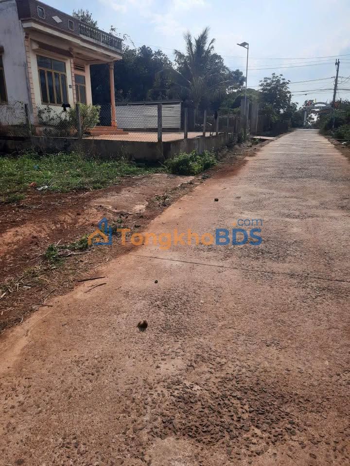 Đất nền C1 TL8 Buôn Ma Thuột 165m² 1.279 tỷ - Đường to ô tô