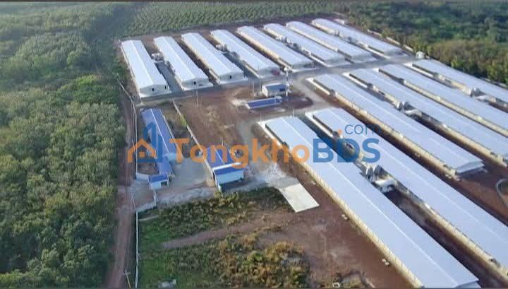 Đất vườn Thuận Lợi Bình Phước 9,5ha 120 tỷ - Đầu tư dài hạn