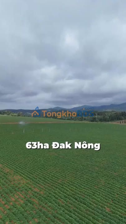 Đất nền Rừng Lạnh Đắk Song 70ha 75 tỷ - Sổ đỏ chính chủ