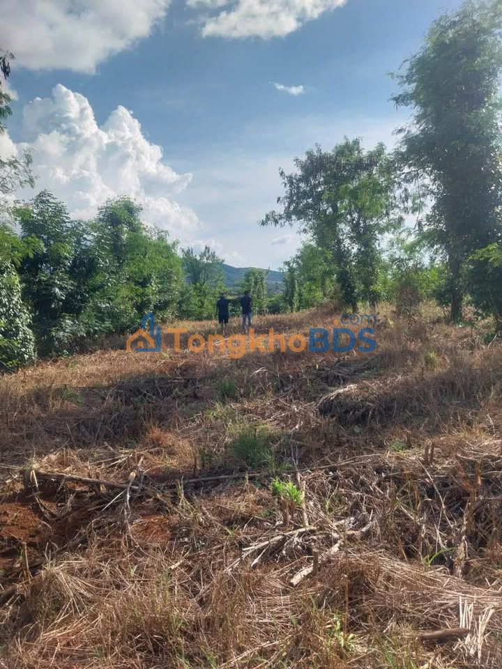 Đất nền Thành Công Buôn Ma Thuột 7.000m² 2 tỷ - Sổ đỏ chính chủ