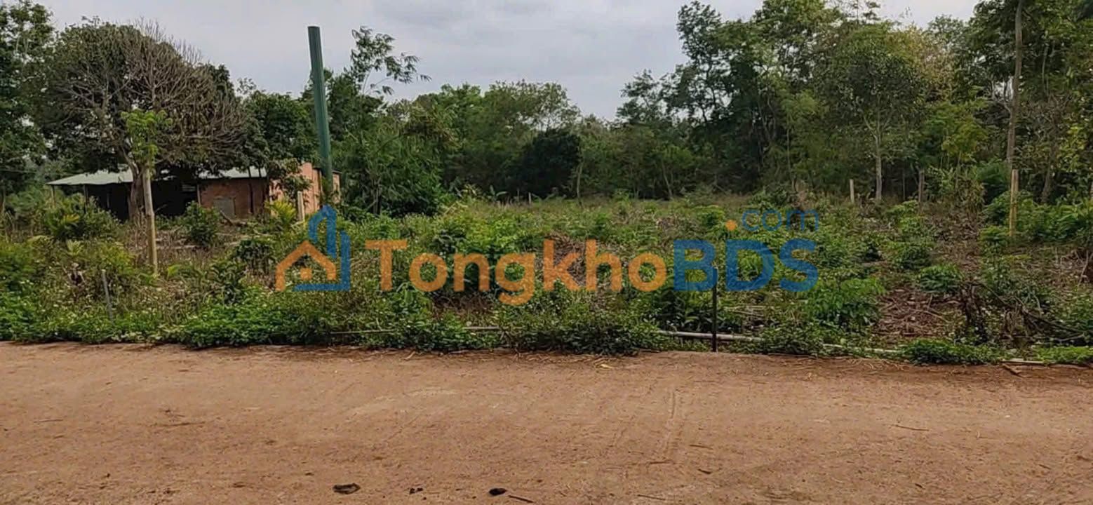 Đất nền Ea Drông Buôn Hồ 60m² 370 triệu - Sổ đỏ chính chủ